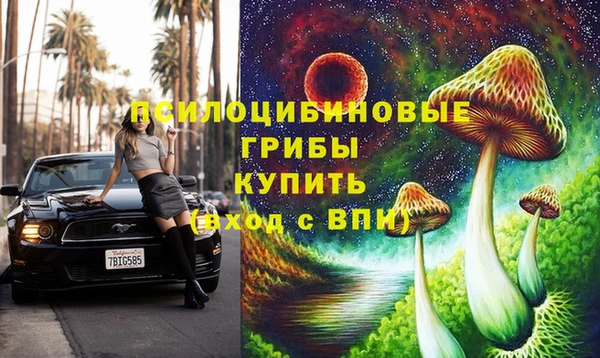 jwh Аркадак