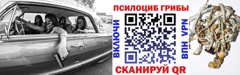 Галлюциногенные грибы мухоморы  Междуреченск 